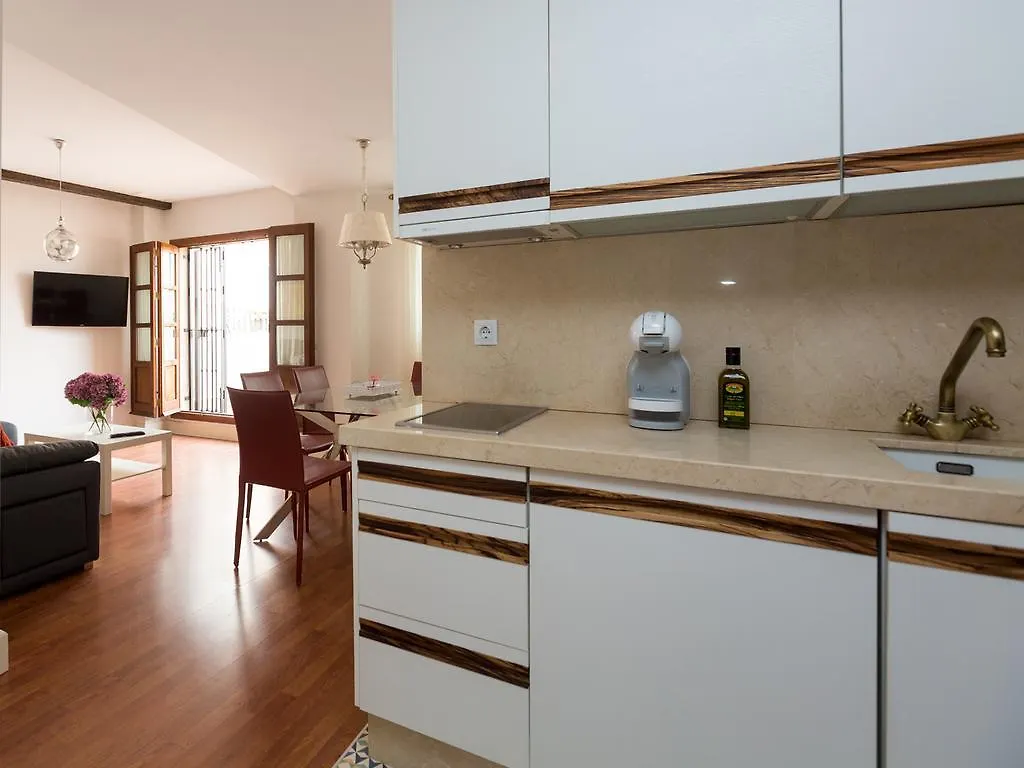 Sebrilla Duplex Amor De Dios Apartment Seville
